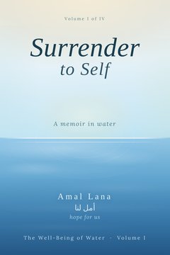 Cover of The Well Being of Water by Amal Lana